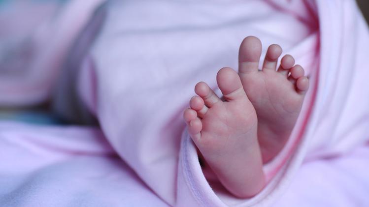 Scegliere il latte in polvere o liquido per i neonati: Consigli utili | L'Arena Scegliere il latte in polvere o liquido per i neonati: Consigli utili | L'Arena