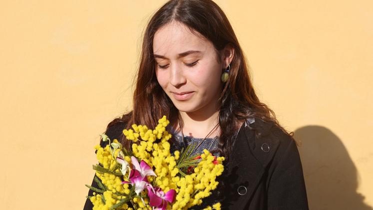 Mimose, fiore simbolo dell'8 marzo