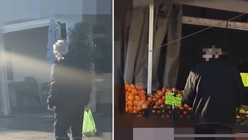 https://gfx.larena.it/image/contentid/policy:1.12818287:1760368812/image.jpeg?f=16x9&h=450&w=800&$p$f$h$w=e1eae93