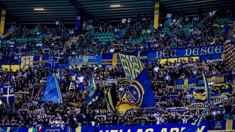 Momento difficile per l'Hellas di Paolo Zanetti