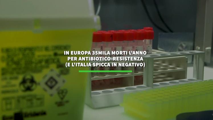 Video In Europa 35mila Morti All anno Per Antibiotico resistenza L Arena video-in-europa-35mila-morti-all-anno-per-antibiotico-resistenza-l-arena