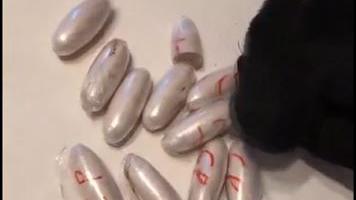 Gli ovuli trovati a casa dello spacciatore di 27 anni (da video Polizia)