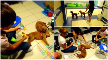 I cagnolini della Città degli Asini con i piccoli pazienti dell'ospedale Magalini di Villafranca