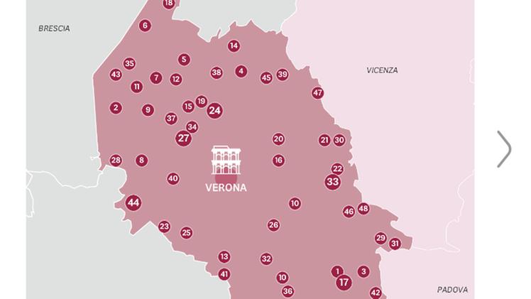 La mappa del voto a Verona per le amministrative 2024