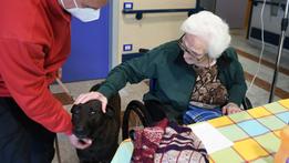 Pet therapy  Un’anziana ospite accarezza uno dei cani portati dagli educatori  FOTO PECORA 