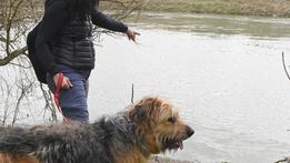 Laura Pesarin con il suo cane Meggi in riva all'Adige (Diennefoto)