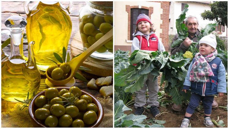 Festa dell'olio a Quinzano e Sagra del broccolo a Novaglie per la Giornata regionale per i Colli Veneti