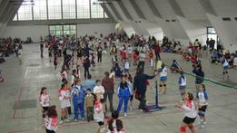 Volley Expo a Cerea nel 2006