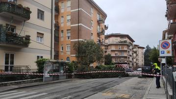 Albero caduto in via Tommaseo all'altezza dell'incrocio di via Locchi (foto Alessandro Canestrari)