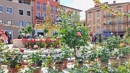 Inaugurata la Festa delle Rose a Bussolengo (foto Madinelli)