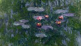 Le nifee di Monet