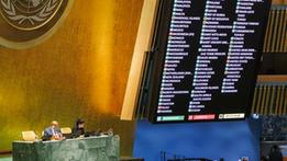 Il voto all'Assemblea generale dell'Onu