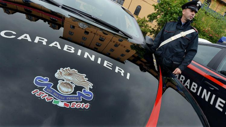 Carabinieri (Ansa/Alessandro Di Marco)