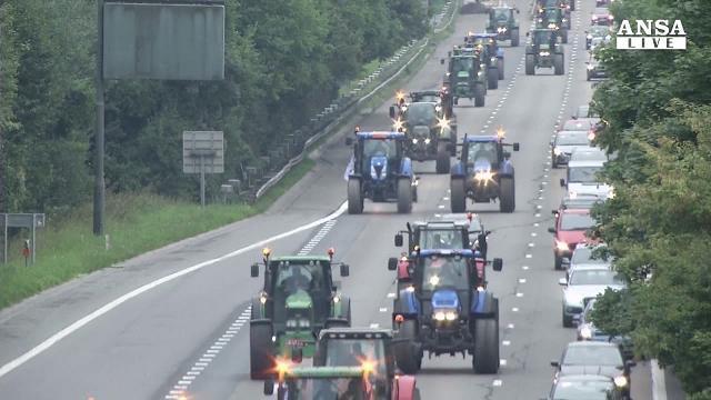 Bruxelles: la protesta degli agricoltori europei per la crisi del latte