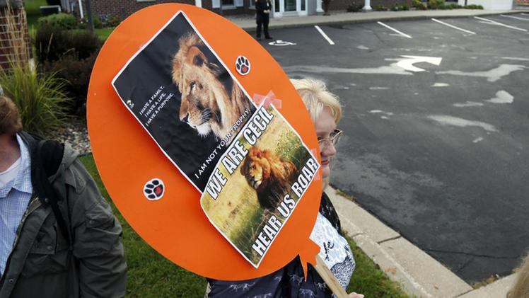 Le proteste contro il killer del leone