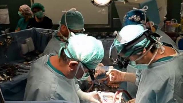 Milano: primo trapianto di fegato a cuore fermo