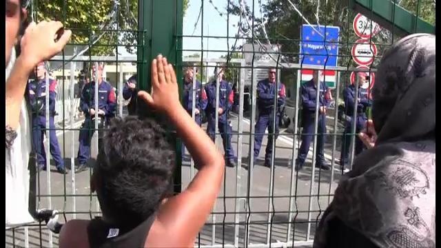 Serbia-Ungheria, migranti e polizia si fronteggiano: "Aspetteremo fino all'apertura del muro"