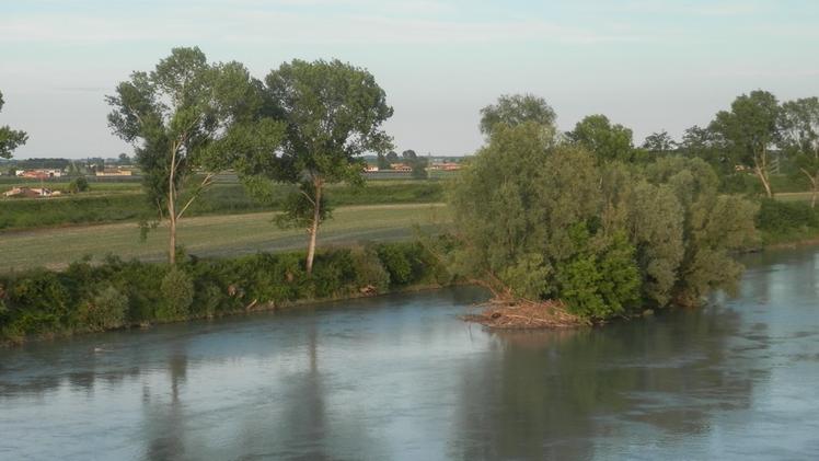 Un tratto di fiume Adige: a Ronco sorgerà il Parco delle anse  