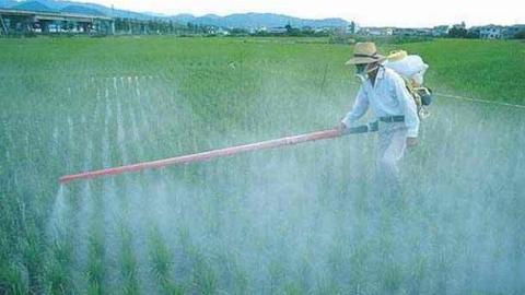 Uso di prodotti chimici in agricoltura