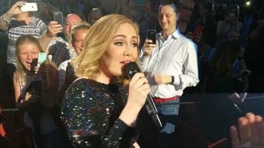 La popstar inglese scende tra il pubblico durante il concerto in Arena FOTO DA TWITTER