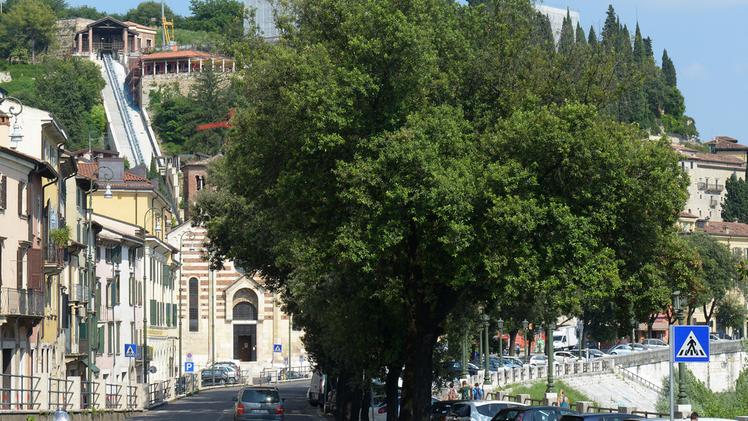 Lungadige San Giorgio, alberi e funicolare per Castel San Pietro
