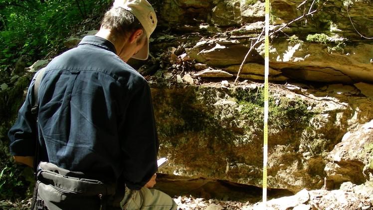 Rilievi stratigrafici sul giacimento di fossili di pesci e piante dell’Eocene di monte Solane