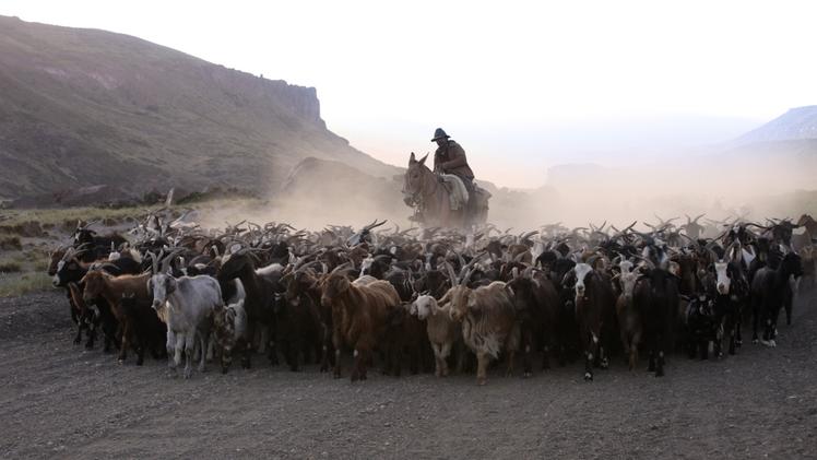Fotogramma da «Behemoth» di Zhao Liang sull'impatto delle miniere di carbone in MongoliaUna scena di «The Tie», tra i film di animazione della sezione ragazziUn momento di «Arreo», dell’argentino Tato Moreno: è tra i film in concorso, propone la vita transumante di un pastore di capre sulle Ande