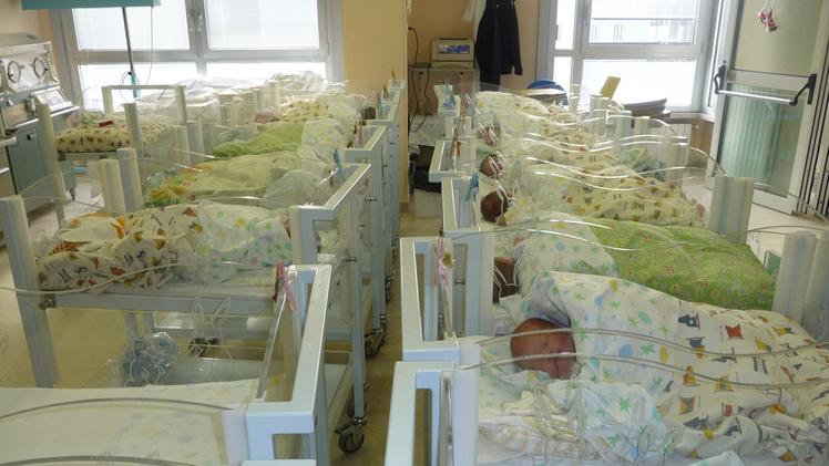 Neonati in un ospedale del territorio veronese