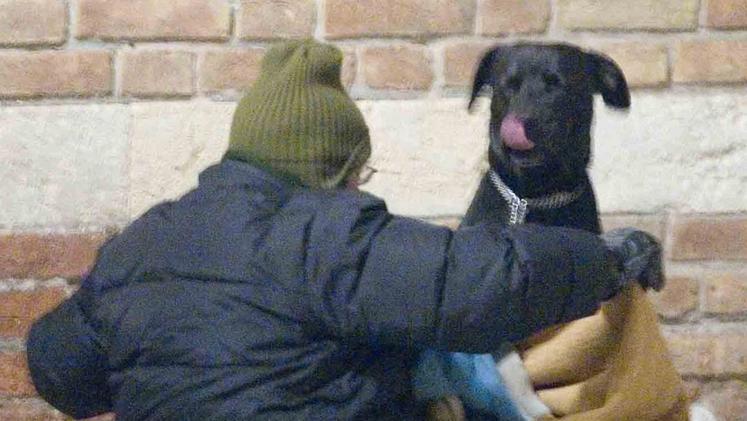 Un senzatetto con il suo cane (archivio)
