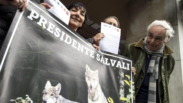 Protesta degli animalisti all'esterno della sede delle Regioni, a Roma