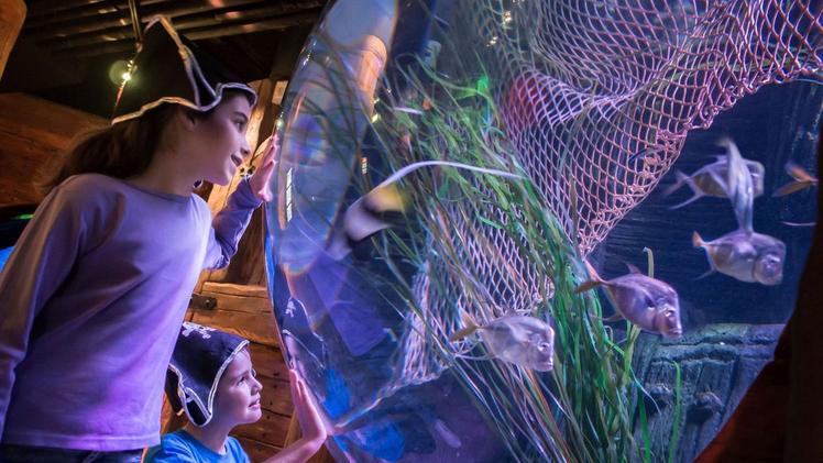 Il Carnevale entra anche al Sea Life Aquarium