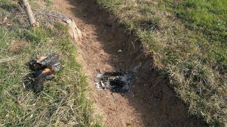 I resti del falò dove è stato bruciato un gatto