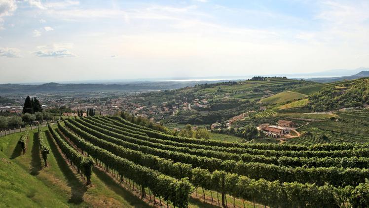Panorama in Valpolicella