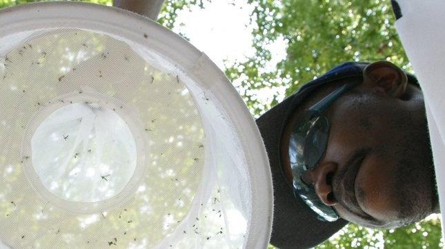 Trappola per zanzare per il monitoraggio del virus West Nile