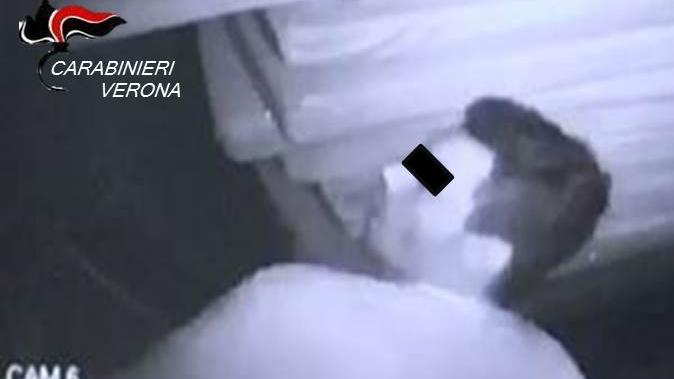 Il presunto responsabile del furto ripreso da una telecamera di videosorveglianza