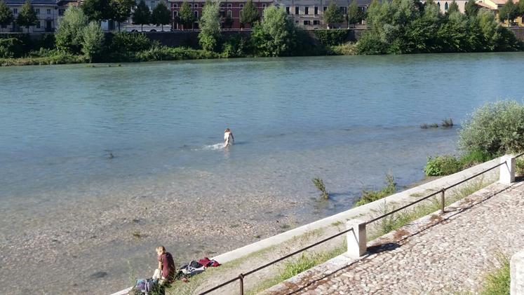 Il bagno in Adige: un'amica osserva la scena dalla riva (Dalli Cani)