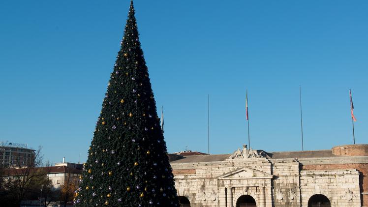 L’albero di  Natale Bauli innalzato davanti a Porta Nuova: oggi alle 18 l’accensione ufficiale