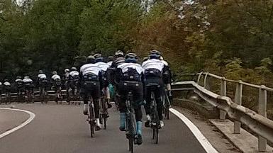 Un gruppo di ciclisti pedala sulla Gardesana 