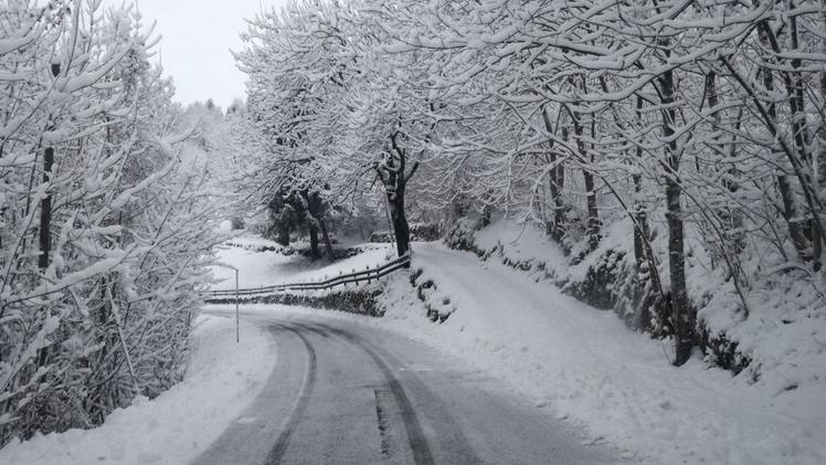 Neve in Lessinia (foto Perpolli)