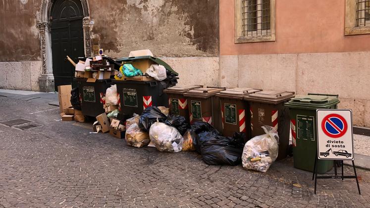 Cassonetti e rifiuti in via Cattaneo