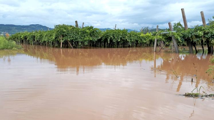 Abitazioni e rimesse piene d’acqua in via Conterno a Costalunga