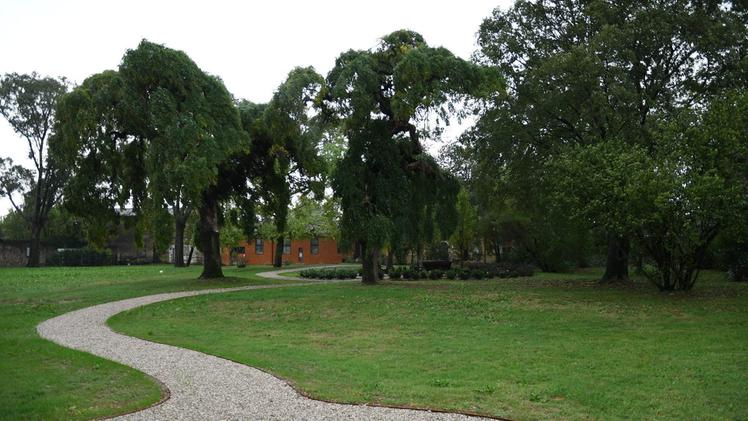 Il parco di villa Ciresola a Mozzecane FOTO PECORA