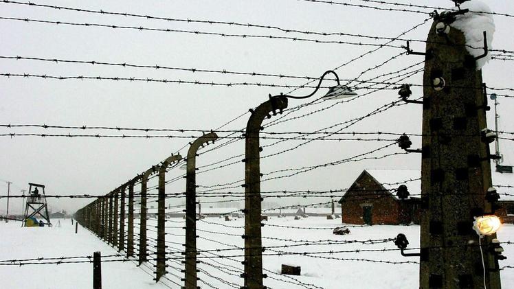 Reticolati nel campo di Birkenau