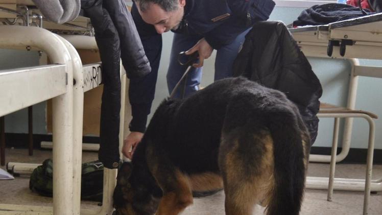 Nella foto d’archivio, operazione antidroga della Polizia con i cani in una scuola