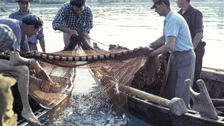 Pesca delle sardine nel lago di Garda