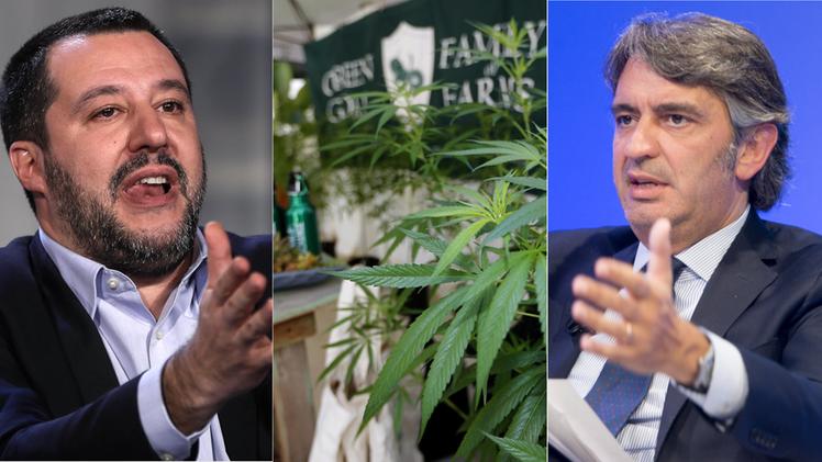 Crociata di Salvini e Sboarina contro i cannabis store
