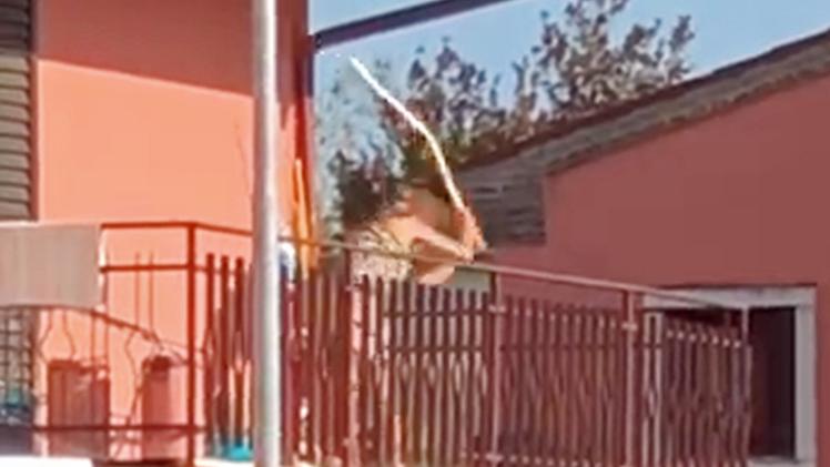 La donna filmata mentre bastona il suo cane sul terrazzo di casa, a Roverchiaretta DIENNEFOTO