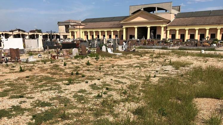 Le condizioni del cimitero di Villafranca, con le erbacce che hanno provocato la reazione dei cittadini 