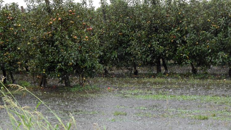 Frutteto allagato a Terrazzo: i campi ieri erano ancora pieni d’acqua