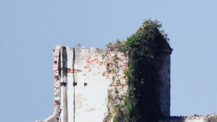La torre colombara di corte Parmala dopo il crollo DIENNE FOTO